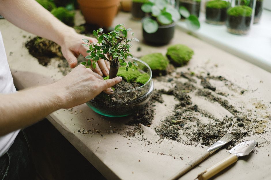 Hydrocultuursysteem voor schaduwrijke binnentuinen.