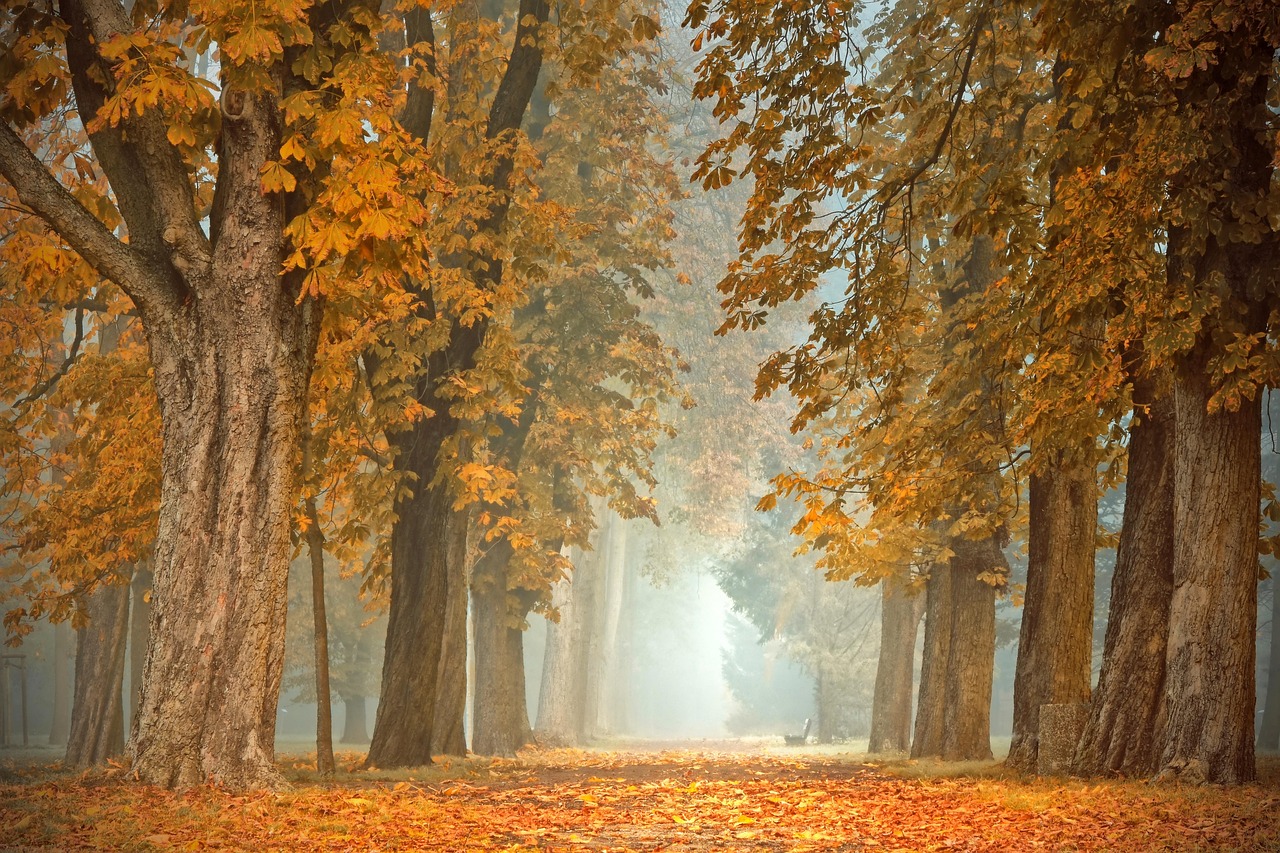 Handgemaakte herfstslinger met natuurlijke herfstkleuren.