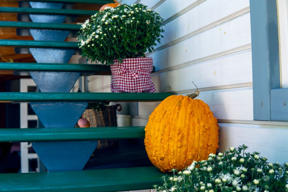 Sfeervolle pompoenen op trap met herfstdecor. Sfeervolle pompoenen op trap met herfstdecor.